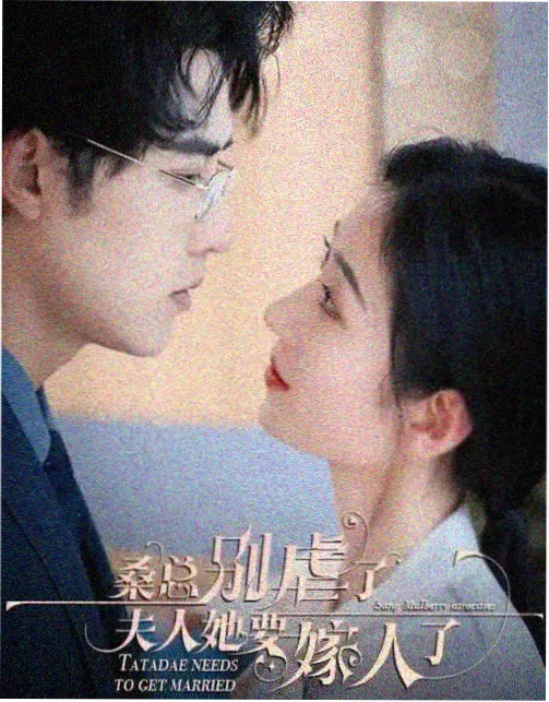 影视资讯 高清电影在线观看免费版